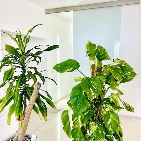 Loft Casa de Férias *